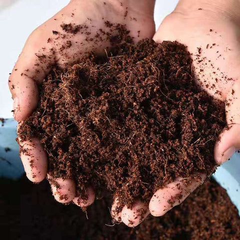 Why Coco Coir is the Best Soil Alternative for Your Plants
