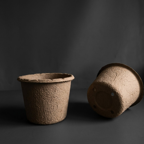 Biodegradable Seedling Pot with Drainage Holes for Gardening and Plant Propagation
