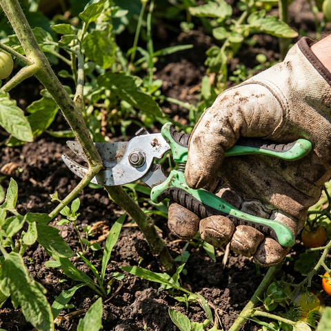 Ergonomic Garden Pruning Shears with Spring Action and Non-Slip Grips