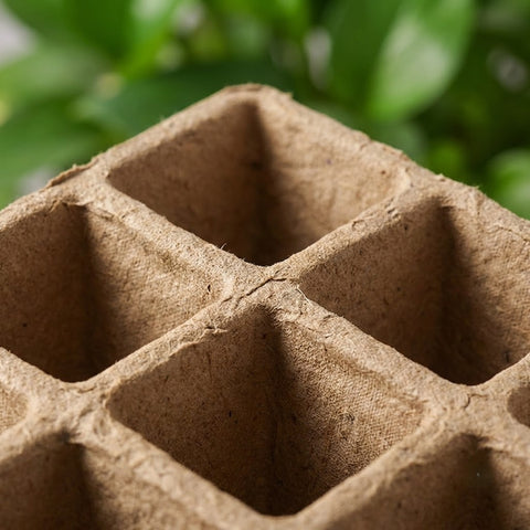 Multi-Cell Seed Starting Tray for Seedling Propagation and Garden Planting