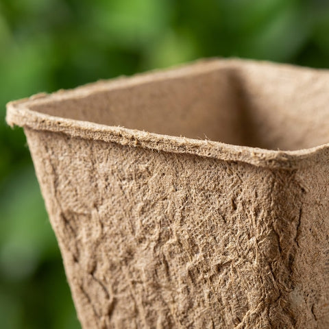 Biodegradable Square Peat Pot for Seed Starting and Plant Propagation